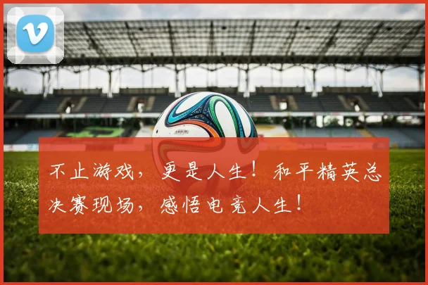 不止游戏，更是人生！和平精英总决赛现场，感悟电竞人生！