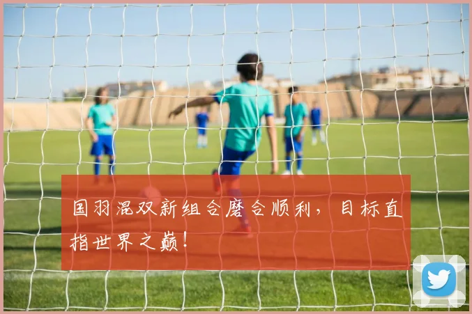 国羽混双新组合磨合顺利，目标直指世界之巅！