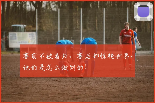 赛前不被看好，赛后却惊艳世界，他们是怎么做到的！
